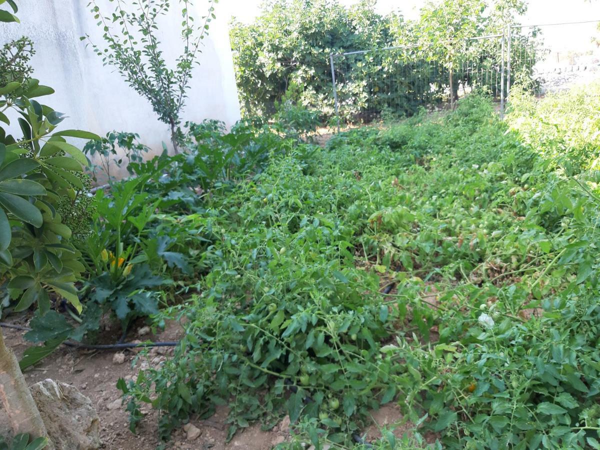 Da Nonna Cosimina Villa Casamassella Ngoại thất bức ảnh